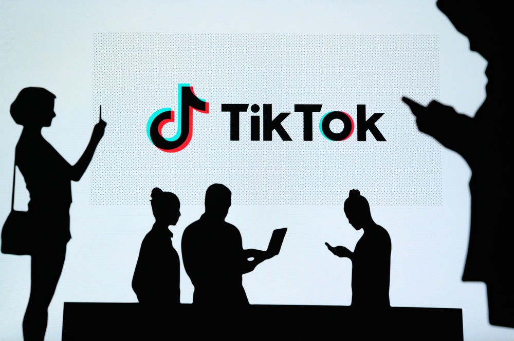 Tiktok business manager